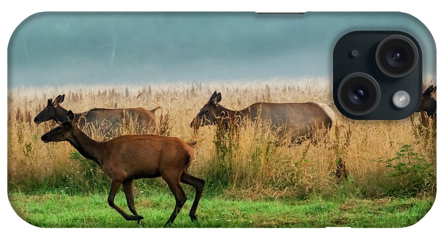 Birds And Animals iPhone Case featuring the photograph Herd in a Hurry by Larey McDaniel