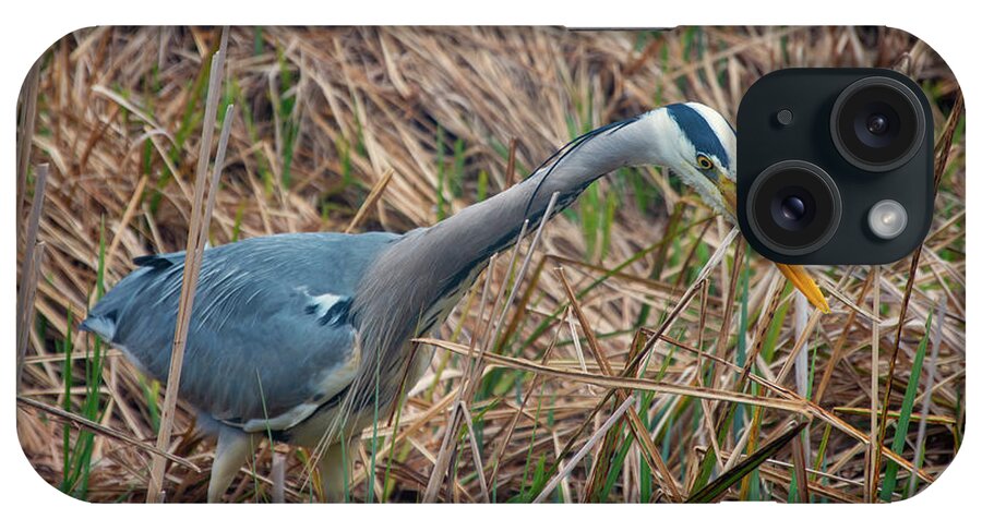 Heron iPhone Case featuring the photograph Heron 3 by Steev Stamford