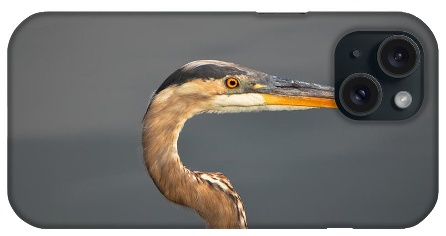 Heron iPhone Case featuring the photograph Heron by Ally White