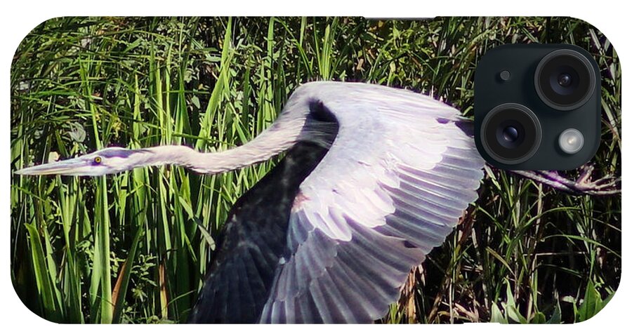 Great Blue Heron iPhone Case featuring the photograph Heron in Flight by Susan Hope Finley