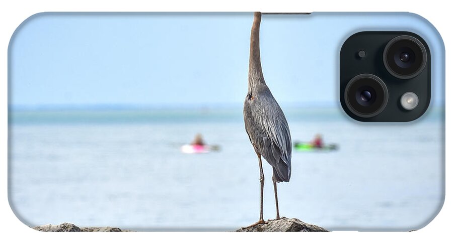 Lake Erie iPhone Case featuring the photograph Heron on Shore by Michelle Wittensoldner