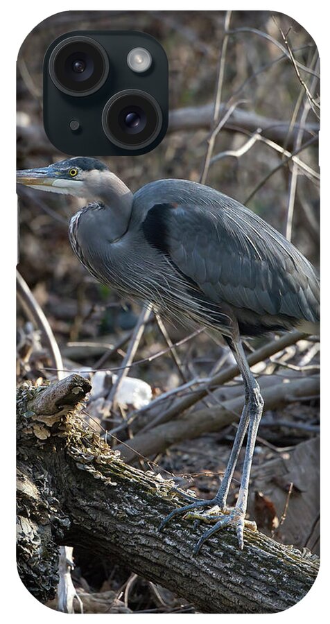 Birds iPhone Case featuring the photograph Heron on the move by Paul Ross