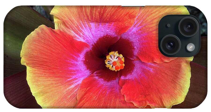 Kauai iPhone Case featuring the photograph Hibiscus Aerial of sorts by Doug Davidson