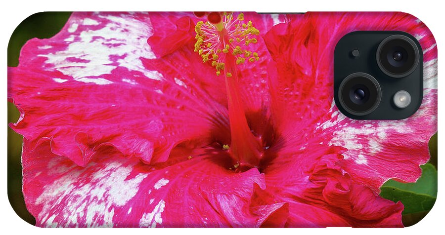Flowers iPhone Case featuring the pyrography Hibiscus Freckles by Tony Spencer