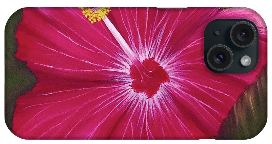 Flowers iPhone Case featuring the painting Hibiscus by Marlene Little