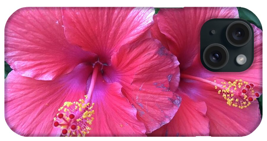  iPhone Case featuring the photograph Hibiscus by Stephen Dorton