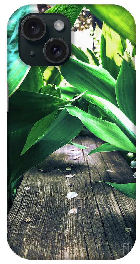 Nature iPhone Case featuring the photograph Hidden Garden by Alexlikeart Official