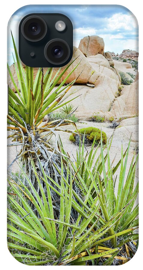 Joshua Tree iPhone Case featuring the photograph Hidden Valley Yucca by Kyle Hanson
