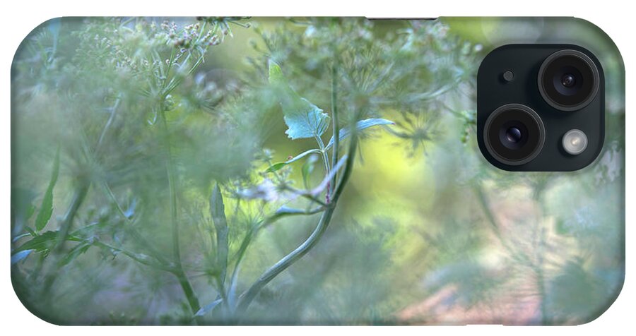 Jenny Rainbow Fine Art Photography iPhone Case featuring the photograph Hidden Worlds - Blooming Skirret by Jenny Rainbow