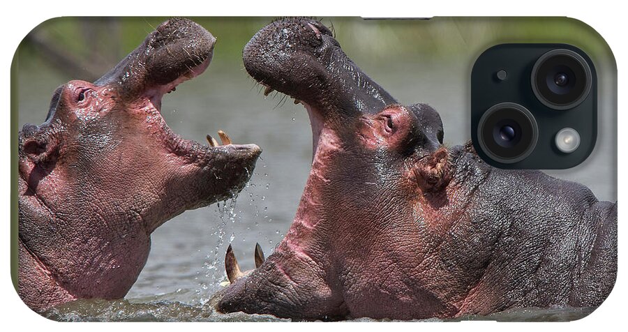 Adult iPhone Case featuring the photograph Hippopotamus amphibius, an adult with a juvenile by Tony Mills