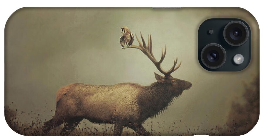 Owl iPhone Case featuring the photograph Hitchin' a Ride by Carrie Ann Grippo-Pike