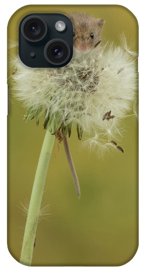 Harvest iPhone Case featuring the photograph Hm-7442 by Miles Herbert