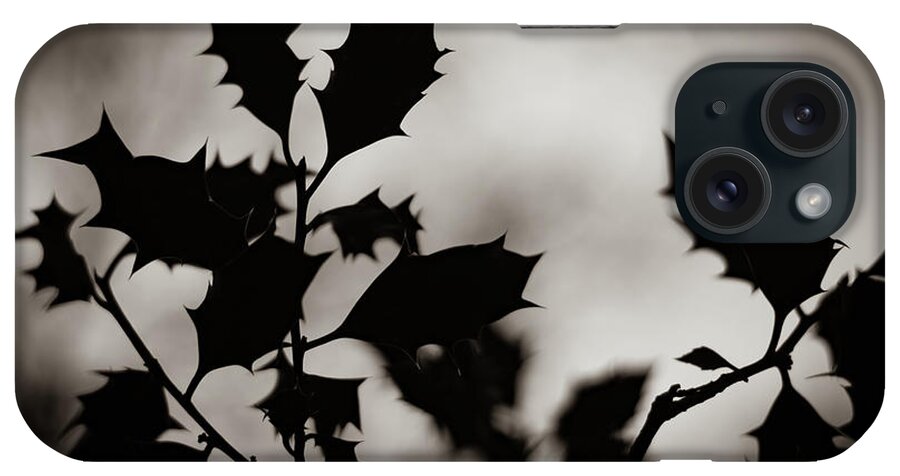 Holly iPhone Case featuring the photograph Holly by Gavin Lewis