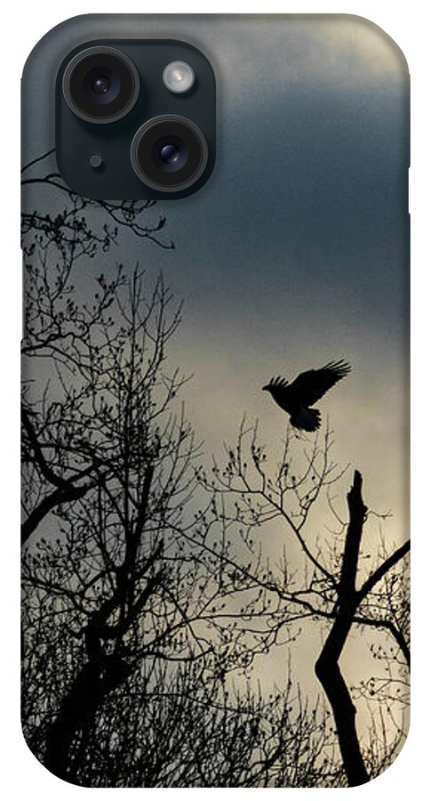Eagle iPhone Case featuring the photograph Home Before Dark by Alyssa Tumale