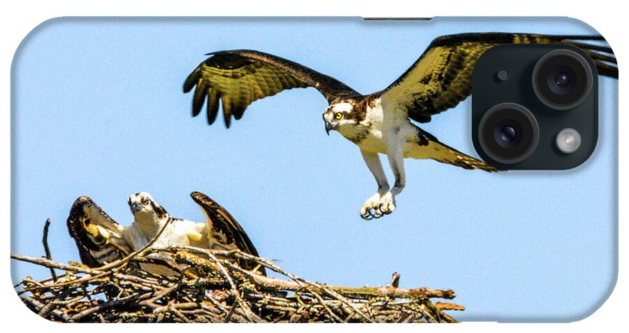 Ospreys iPhone Case featuring the photograph Honey, I'm Home by Addison Likins