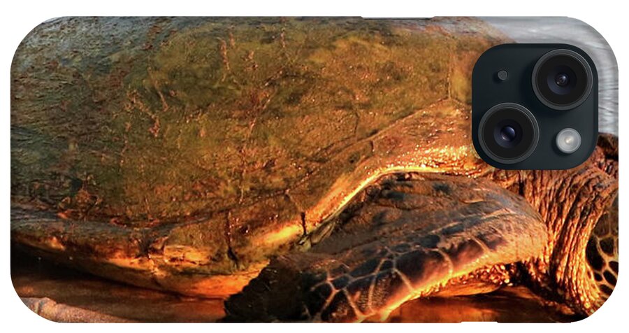 Honu iPhone Case featuring the photograph Honu by Tony Spencer