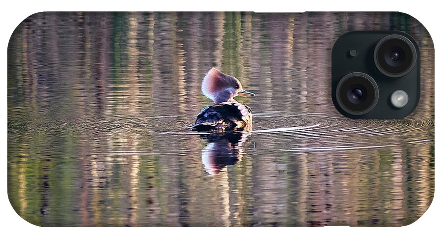 Harle Couronné iPhone Case featuring the photograph Hooded Merganser At The Golden Hour by Carl Marceau