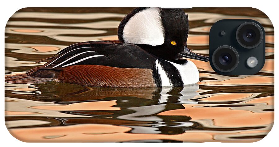 Merganser iPhone Case featuring the photograph Hooded Merganser On Colorful Water by Max Allen