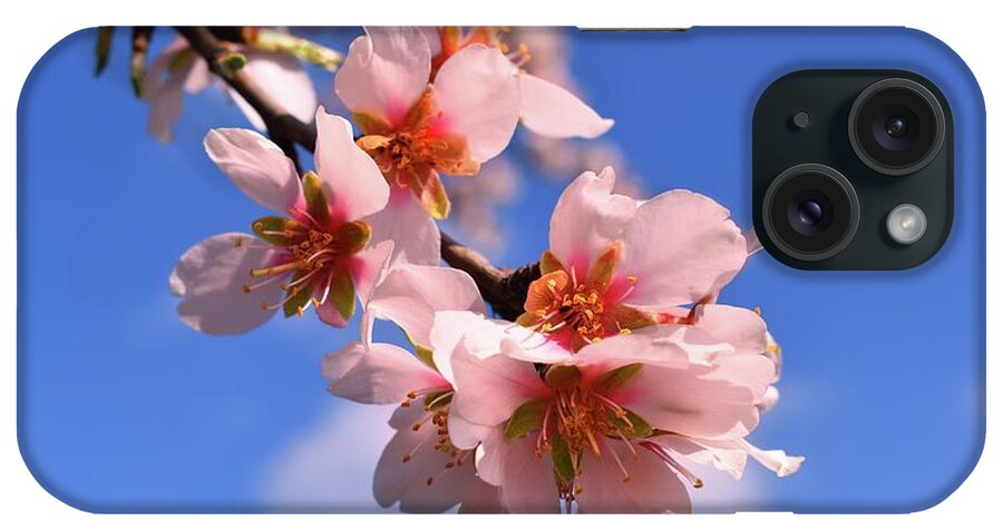Flower Branch iPhone Case featuring the photograph Hope Flower Blossoms In Spring 02 by Leonida Arte