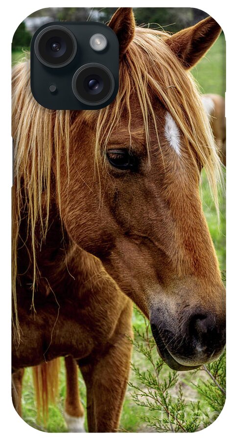 Horse iPhone Case featuring the photograph Horse Hello by Jennifer White