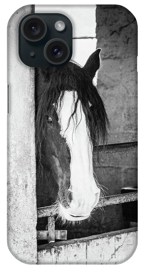 Horse iPhone Case featuring the photograph Horse in Stable bw Vert by Eddie Barron