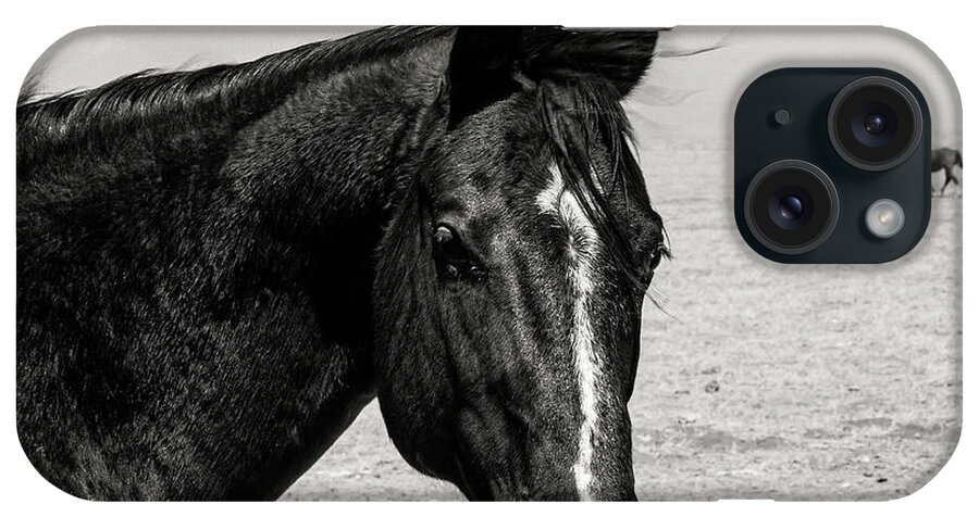 © 2013 Lou Novick iPhone Case featuring the photograph Horse by Lou Novick