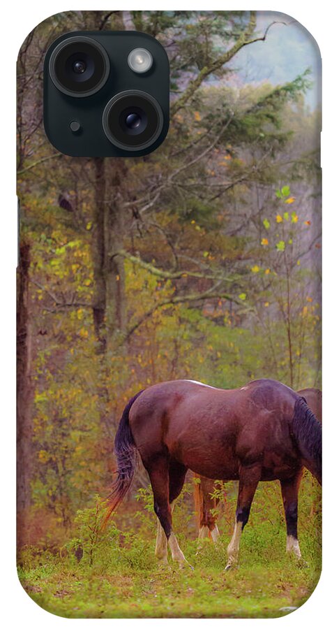 Cade's Cove iPhone Case featuring the photograph Horses in the Smokies by Darrell DeRosia