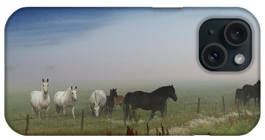 Landscape iPhone Case featuring the photograph Horses on the Prairie by Dan Jurak