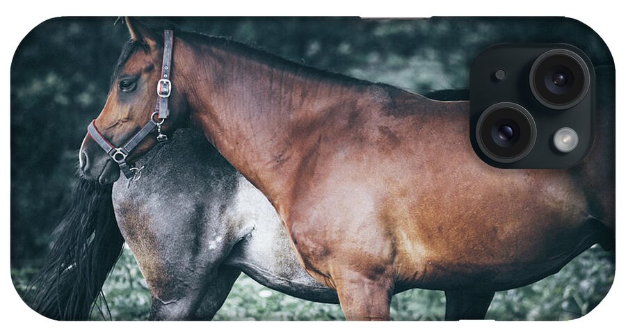 Horse iPhone Case featuring the photograph Horses rest under a tree by Dimitar Hristov