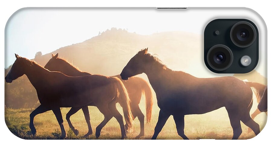 Horse iPhone Case featuring the photograph Horses Silhouette by Mango Art