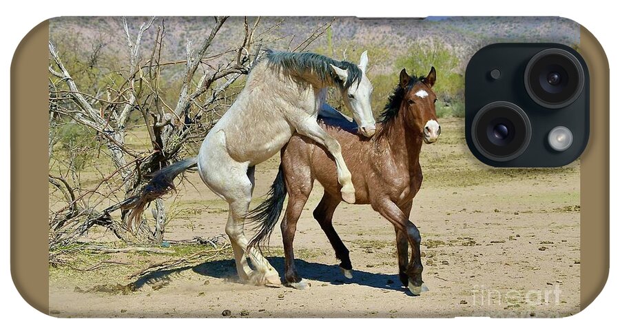 Salt River Wild Horse iPhone Case featuring the digital art Horsin Around by Tammy Keyes