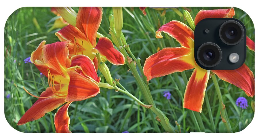 Daylilies iPhone Case featuring the photograph Hot July Field of Daylilies by Janis Senungetuk