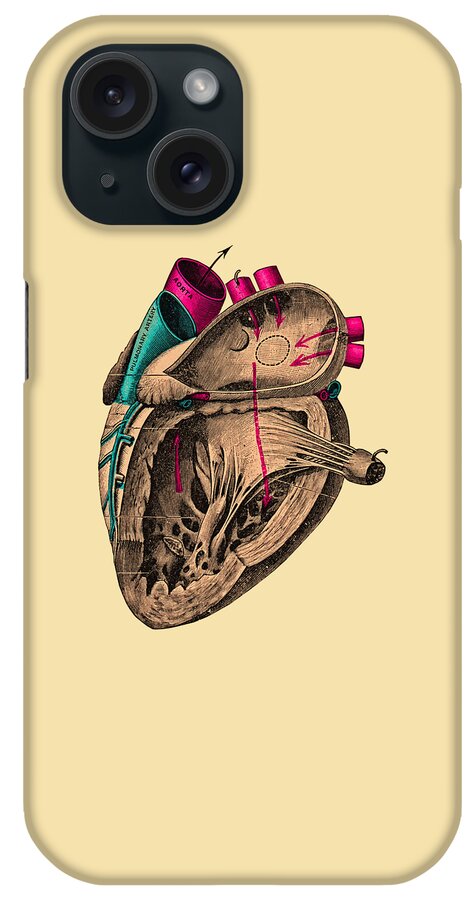 Heart iPhone Case featuring the digital art Human Heart by Madame Memento