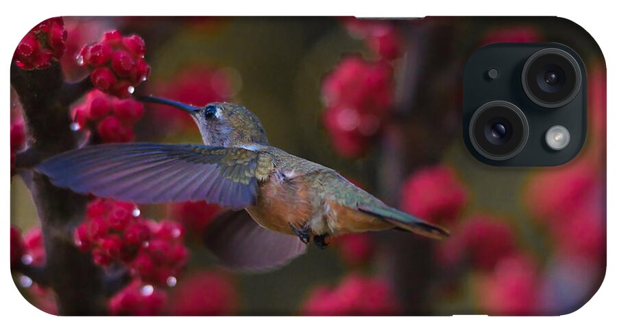 Hummingbird iPhone Case featuring the photograph Humming bird Pit Stop by Montez Kerr
