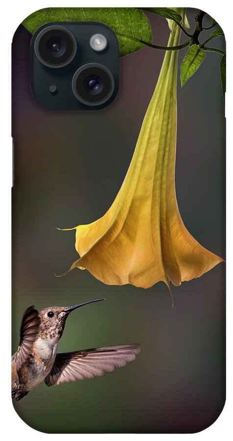 Hummingbird iPhone Case featuring the photograph Hummingbird and Angel Trumpet by Endre Balogh
