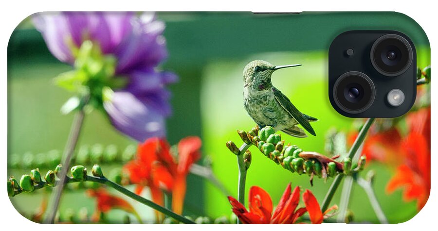 Animal iPhone Case featuring the photograph Hummingbird and Blooms by Kristine Anderson