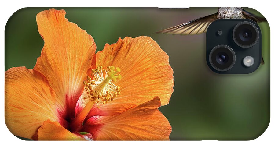 Hummingbird iPhone Case featuring the photograph Hummingbird and Peach Hibiscus by Endre Balogh