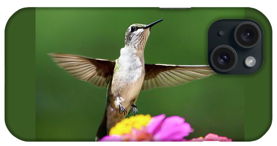 Hummingbird iPhone Case featuring the photograph Hummingbird by Christina Rollo