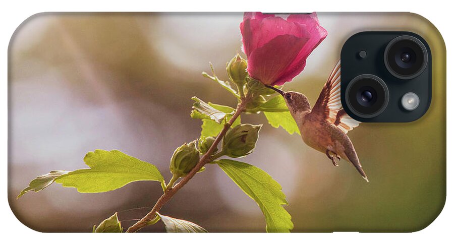 Hummingbird iPhone Case featuring the photograph Hummingbird Feeding at a Rose of Sharon by Diane Diederich