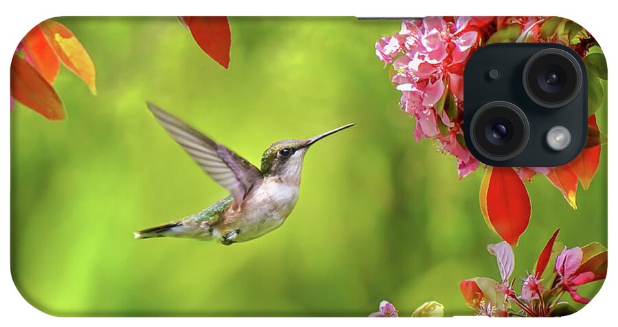 Hummingbirds iPhone Case featuring the photograph Hummingbird Happiness Garden by Christina Rollo