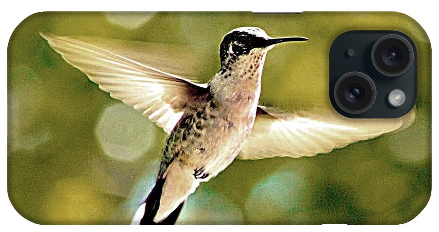 Bird iPhone Case featuring the photograph Hummingbird in Flight by Charlene Adler