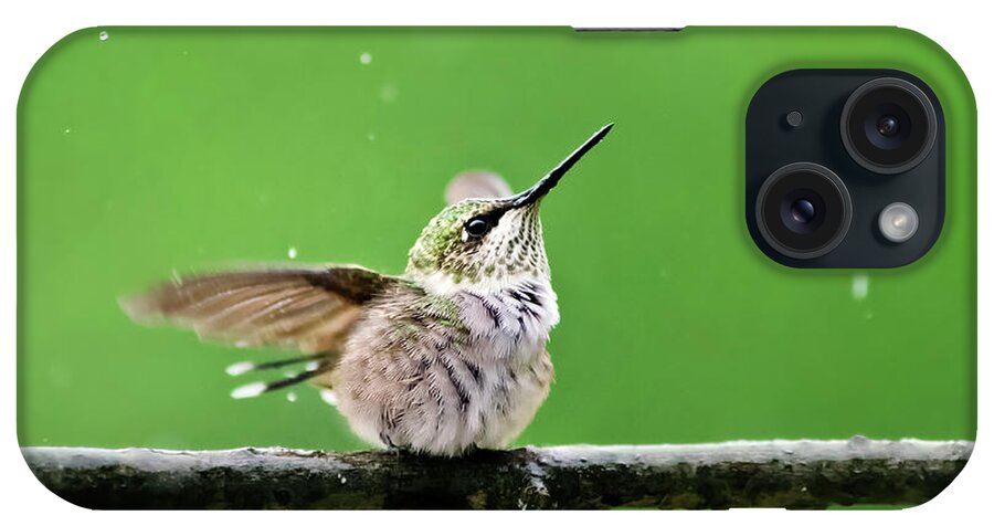 Hummingbird iPhone Case featuring the photograph Hummingbird In The Rain by Christina Rollo