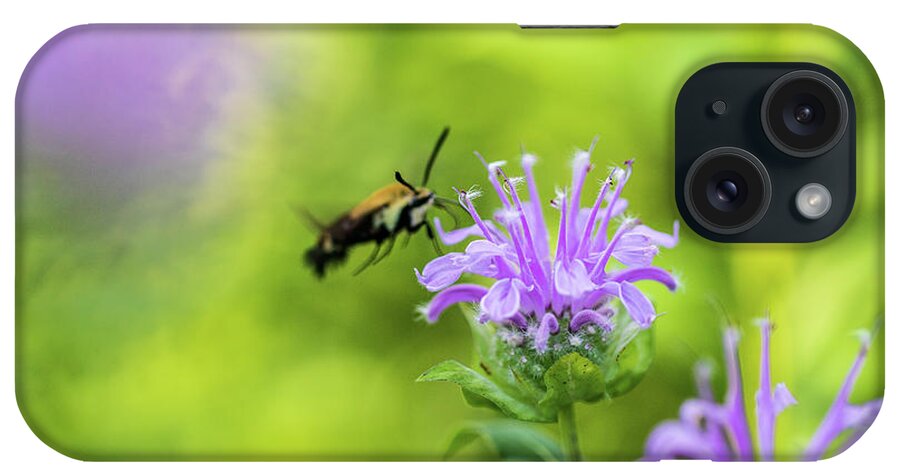 Plants iPhone Case featuring the photograph Hummingbird Moth - Delaware Water Gap by Amelia Pearn