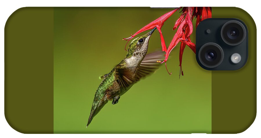 Ruby-throated Hummingbird iPhone Case featuring the photograph Hummingbird Sips from Bee Balm by April Lu