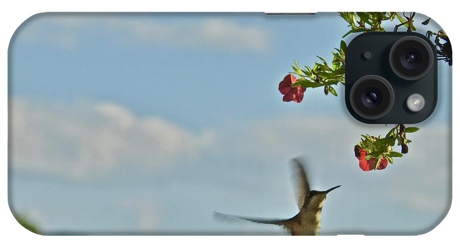 Hungry Hummingbird iPhone Case featuring the photograph Hungry Hummingbird by Kathy Ozzard Chism