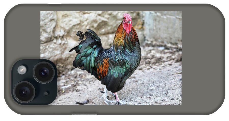 Rooster iPhone Case featuring the photograph I Am King Rooster by Scott Burd