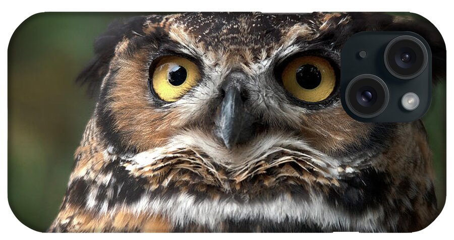 Closeup Of A Great Horned Owl iPhone Case featuring the photograph I know I am the Tiger of the Sky by Carolyn Hall