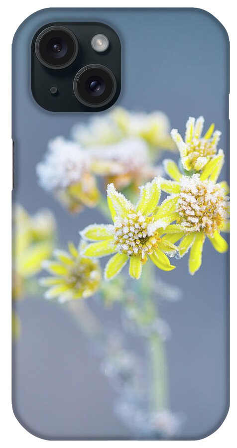 Flower iPhone Case featuring the photograph Ice Flowers by Anita Nicholson