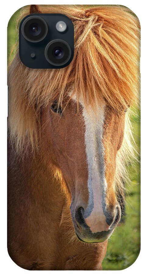 Icelandic Horse iPhone Case featuring the photograph Icelands Special Breed of Horses by Rebecca Herranen