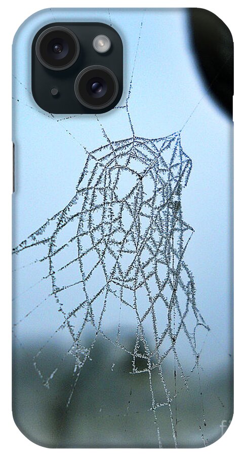Spiderweb iPhone Case featuring the photograph Icy Spiderweb by Ramona Matei